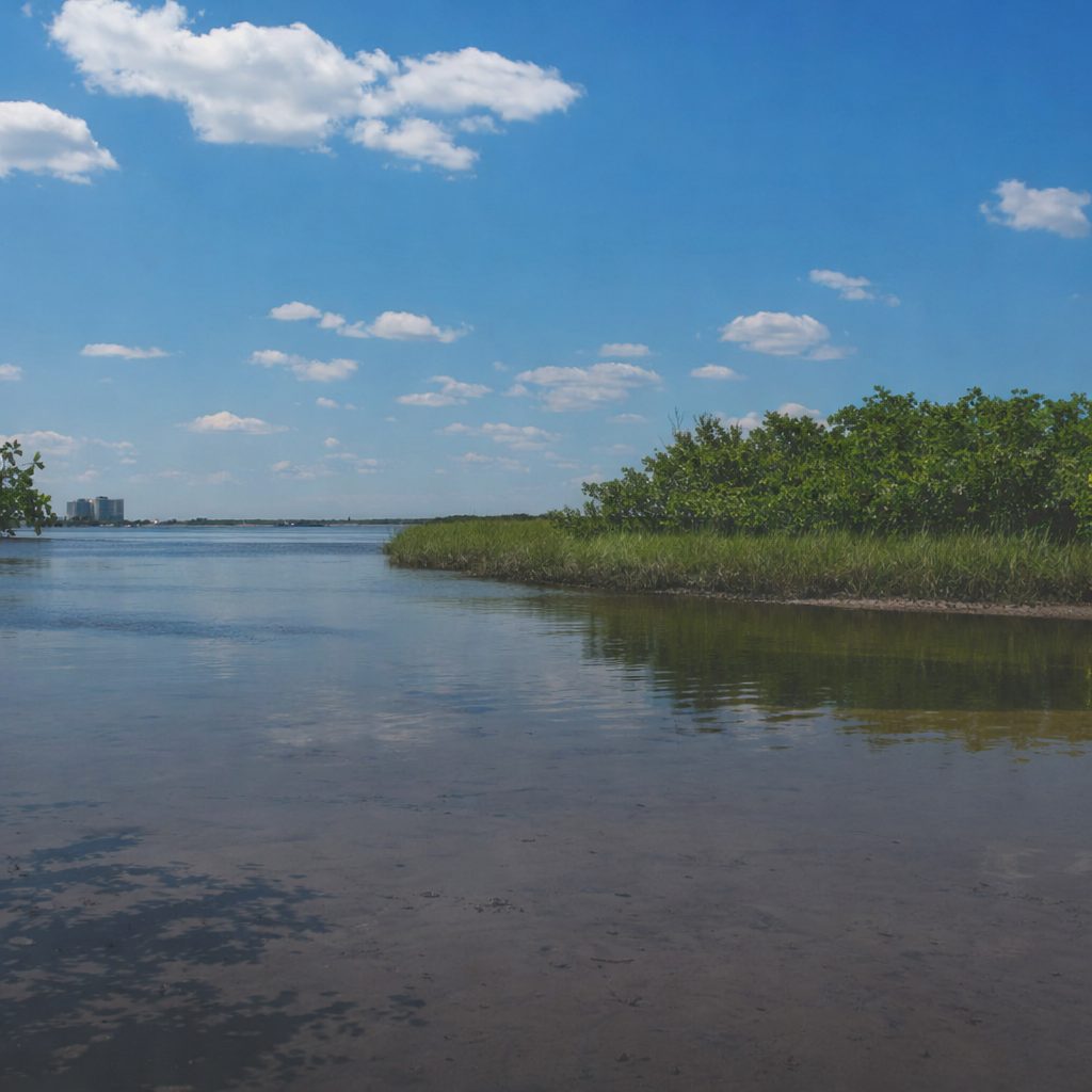 Serene waterfront with distant building